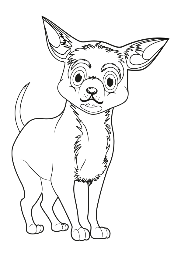  Dibujo de un perro Chihuahua para colorear. Dibujos de animales domésticos.