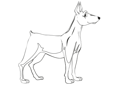Animales domésticos para colorear. Dibujo de un perro Podenco Canario.