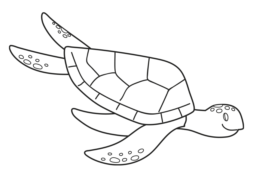 Dibujos de animales marinos para colorear, dibujo de una tortuga