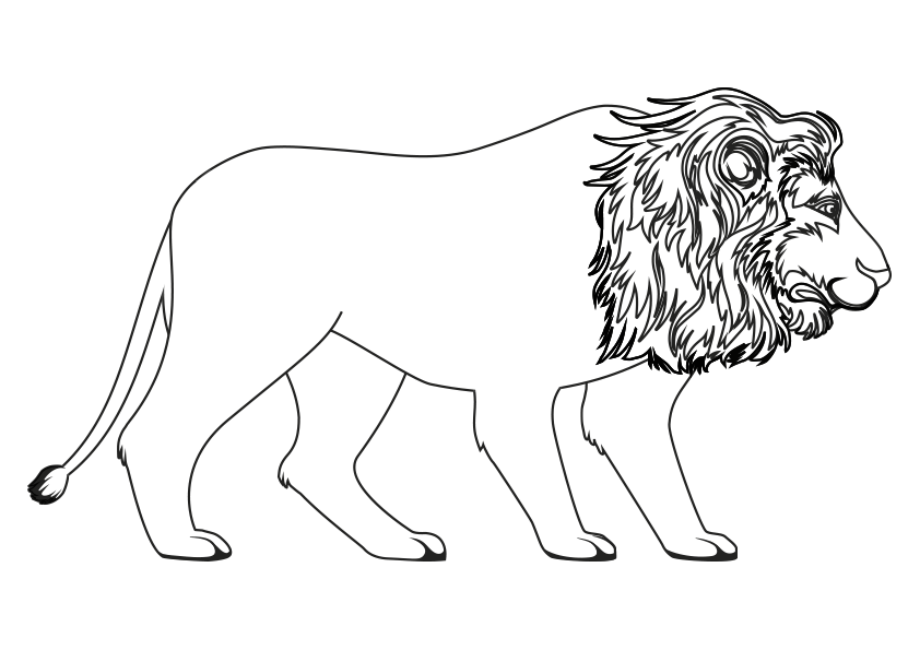  Dibujos de animales salvajes. Dibujo de un león africano para colorear.