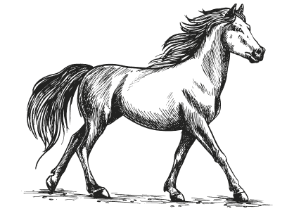 Dibujo de un caballo caminando