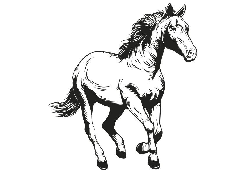 Dibujo de un caballo trotando