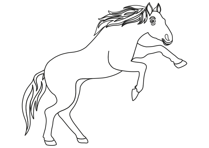 Dibujo de un caballo saltando para colorear. Drawing of a horse jumping.