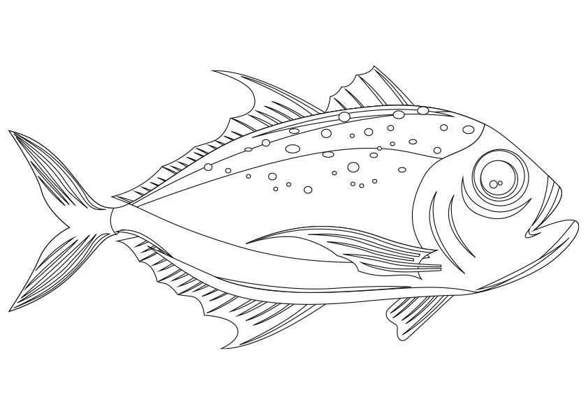 Dibujo colorear animales. Colorear un pez besugo. Sea bream fish coloring  page.