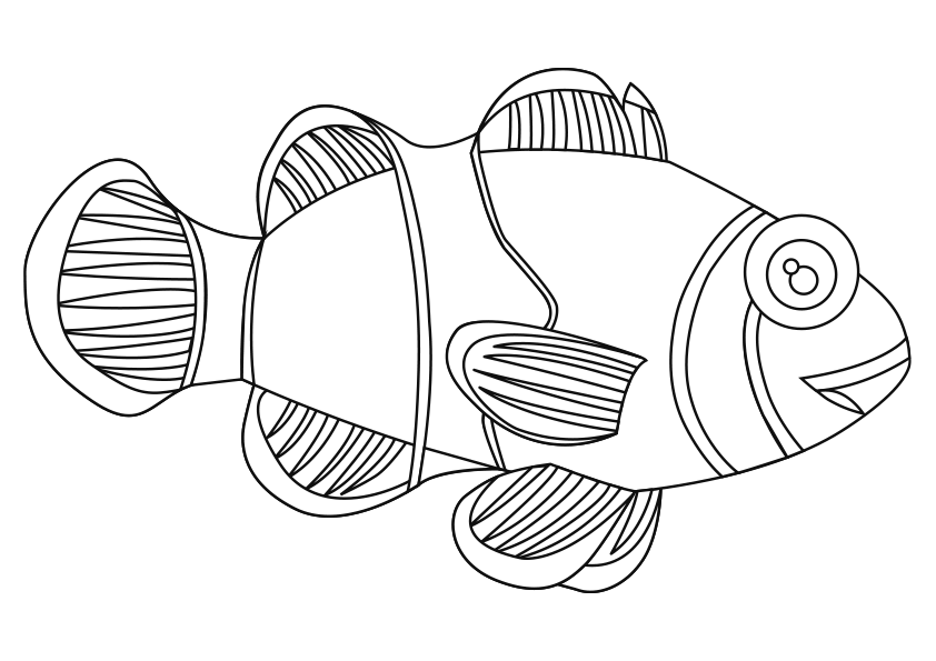 Dibujo para colorear animales. Colorear un pez payaso. Clownfish coloring page.