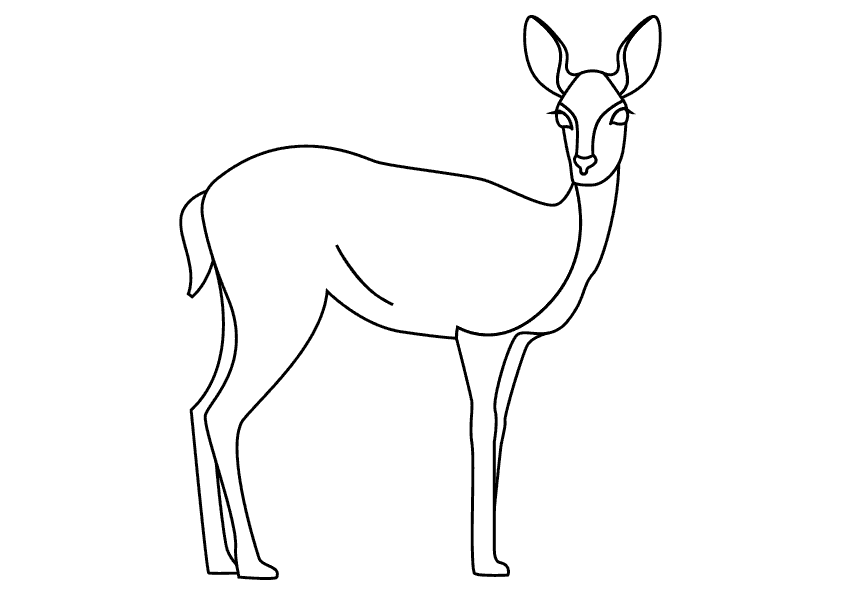 Dibujo animales para colorear. Colorear una cierva. Animals coloring pages, coloring a hind or deer.