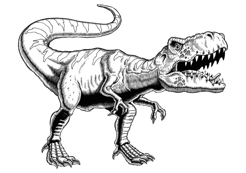 Dibujos de animales para colorear un dinosaurio Tiranosario Rex. Dibujo de un dinosaurio T-Rex para colorear. Dibujo de un dinosaurio. Dibujo de un T-Rex en blanco y negro para pintar. Animals coloring pages, coloring a tyrannosaurus rex dinosaur. A tyrannosaurus rex dinosaur coloring page. Drawing of a tyrannosaurus rex dinosaur.