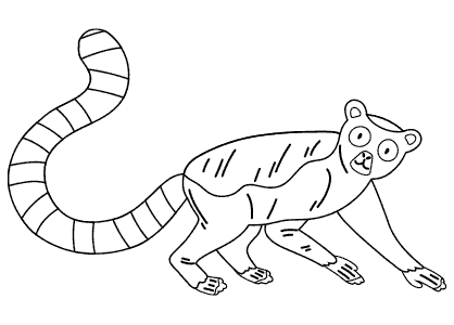 Dibujos animales para colorear. Dibujo de un lémur