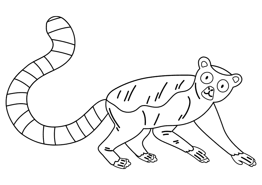 Dibujo animales para colorear. Colorear un lémur. Animals coloring pages, coloring a lemur.
