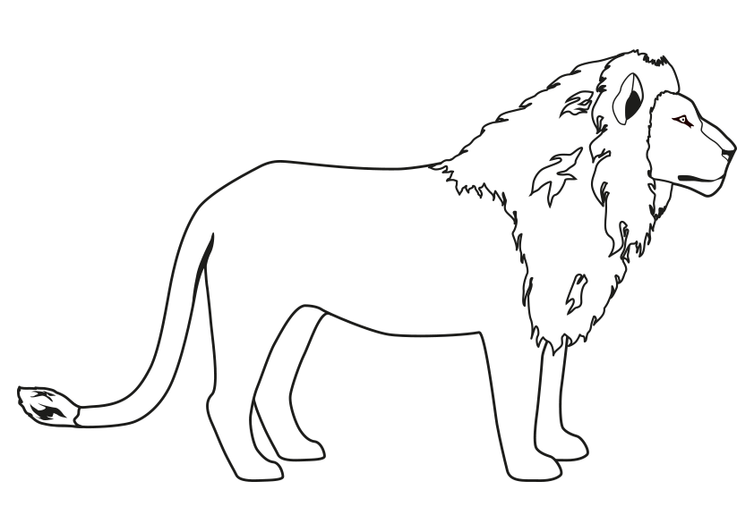 Dibujo de un león de perfil para colorear. A side view of a lion coloring  page.