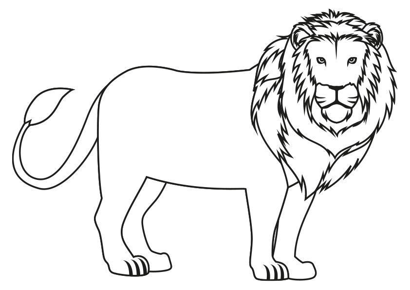 Dibujos de animales para colorear un león. Dibujo de un león. Animals coloring pages, coloring a lion. A lion coloring page. Drawing of a lion.