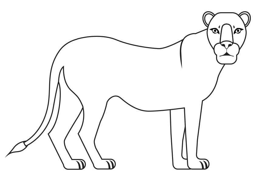 Dibujos de animales para colorear una leona. Dibujo de una leona. Animals coloring pages, coloring a lioness. A lioness coloring page. Drawing of a lioness.