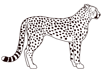 Dibujos de animales para colorear un leopardo de perfil