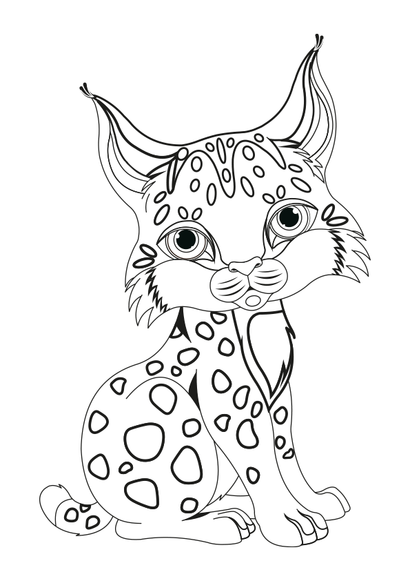  Dibujo de un lince para colorear. A lynx coloring page.