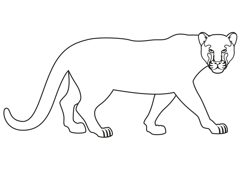  Dibujo de una pantera negra para colorear. A black panther coloring page.