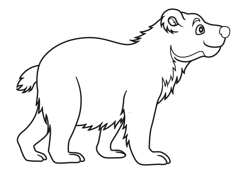 Dibujo de un oso. Dibujos de animales para colorear un oso. Animals coloring pages, coloring a bear. A bear coloring page. Drawing of a bear.