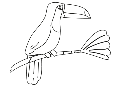 Dibujos animales colorear. Dibujo de un ave tucán