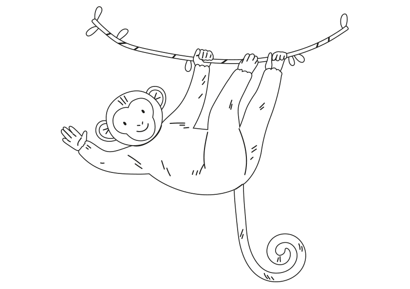 Dibujos de animales para colorear. Colorear un mono colgado de una rama. Animals coloring pages, coloring a monkey hanging from a branch.