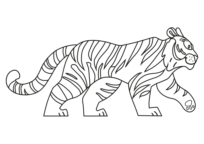 Dibujos de animales para colorear un tigre caminando de perfil. Dibujo de un tigre. Animals coloring pages, coloring a tiger