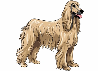 Dibujo de un perro de la raza Afgana.