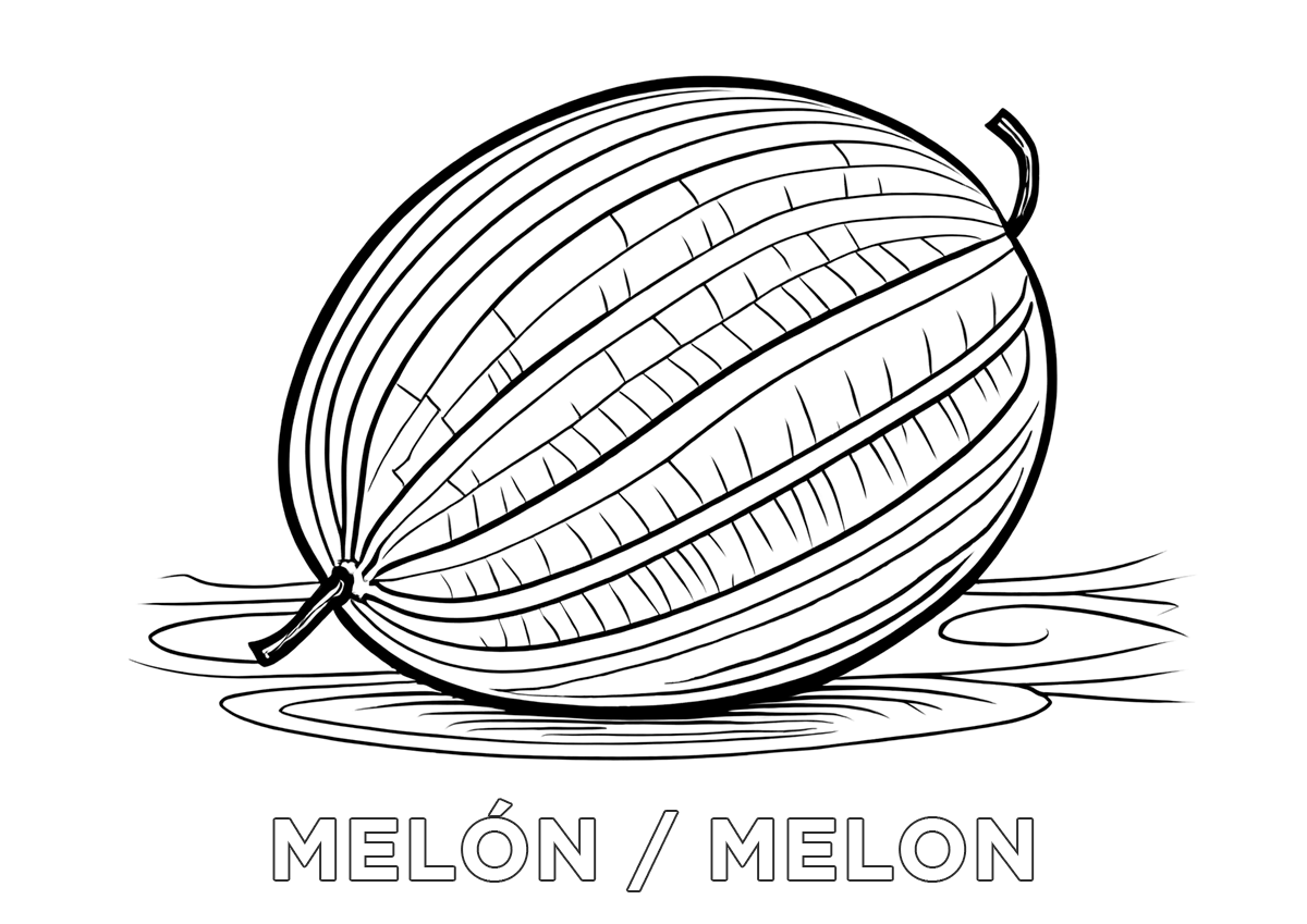 Dibujo de un melón con su nombre en español e inglés para colorear