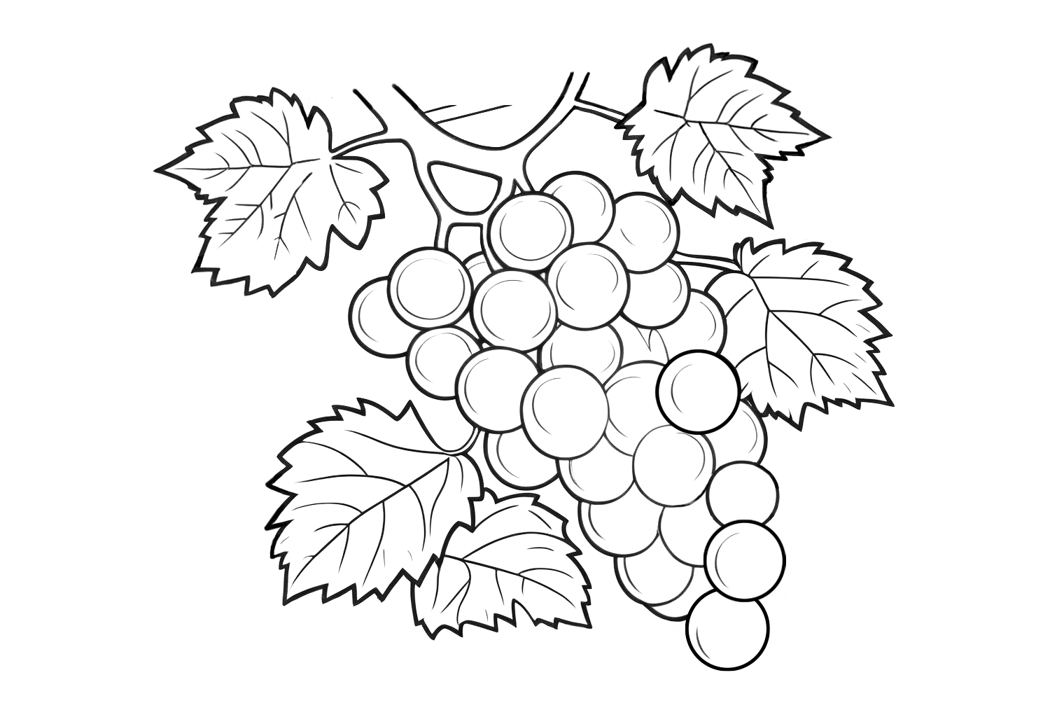 Dibujo de un racimo de uvas para colorear