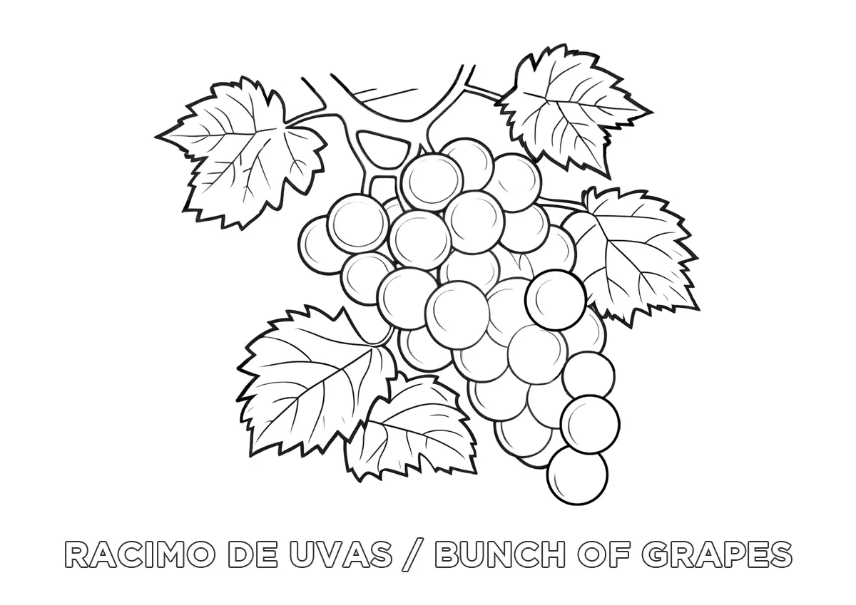 Dibujo de un racimo de uvas para colorear con su nombre en español en inglés