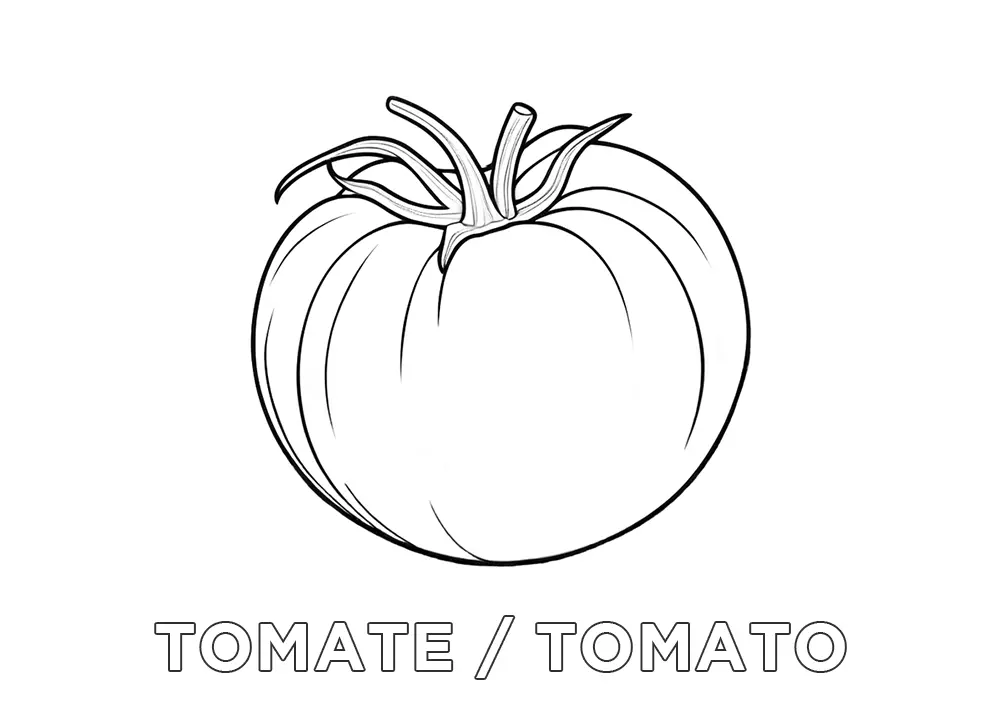 Dibujo de un tomate para colorear con su nombre en español en inglés