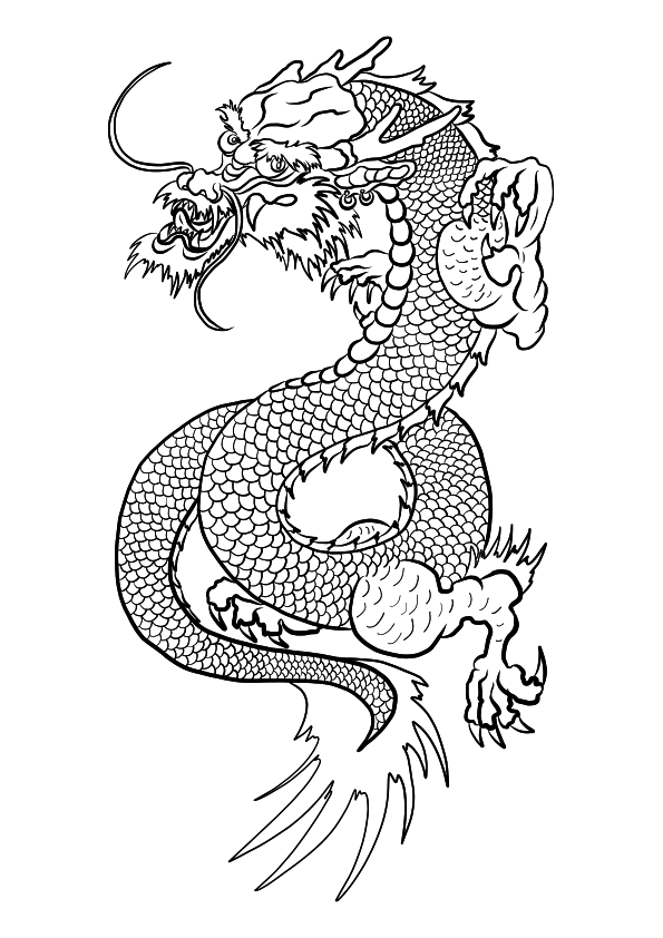Dibujo de un dragón japonés para colorear. Dibujo de un dragón oriental para tatuaje