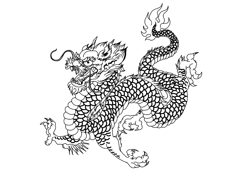 Dibujo de un dragón chino para colorear. Dibujo de un dragón para tatuaje
