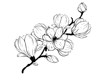 Dibujo para colorear flores de cerezo nº 1. Open cherry flower coloring page number one.