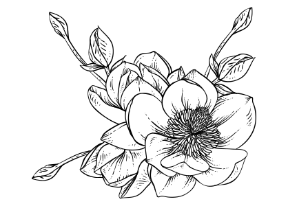 Dibujo para colorear de una flor de magnolia nº 1