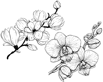 Dibujos para colorear flores y plantas