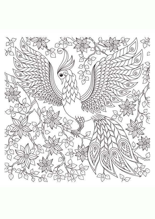 Dibujo para colorear mandalas número 18