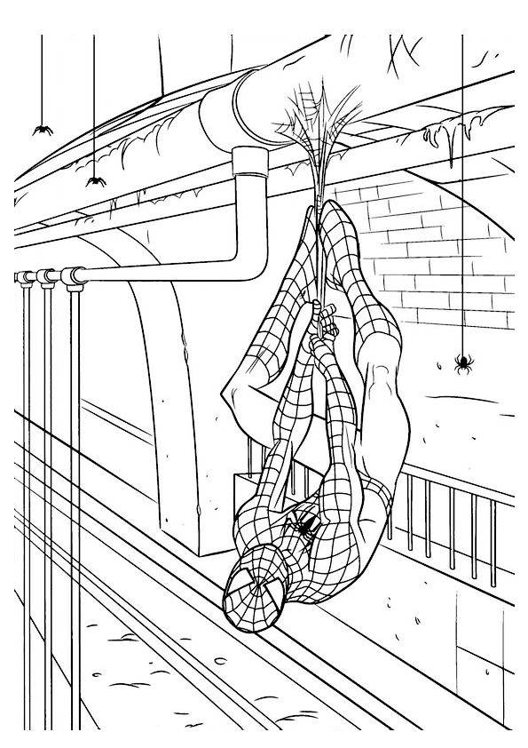Dibujo para colorear Spider-Man boca abajo