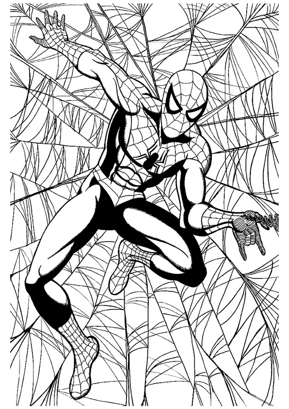Dibujo para colorear Spider-Man en la telaraña