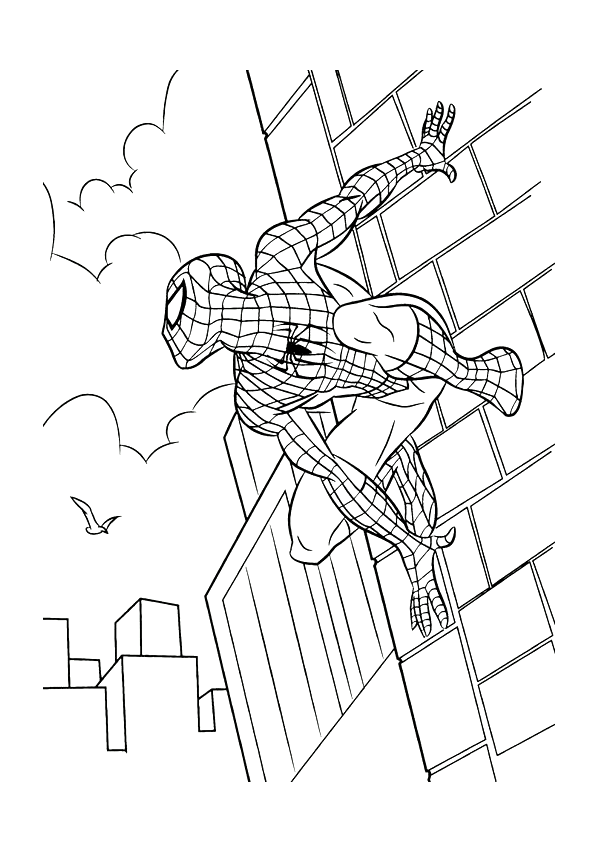 Dibujos para colorear de Spiderman el trepamuros