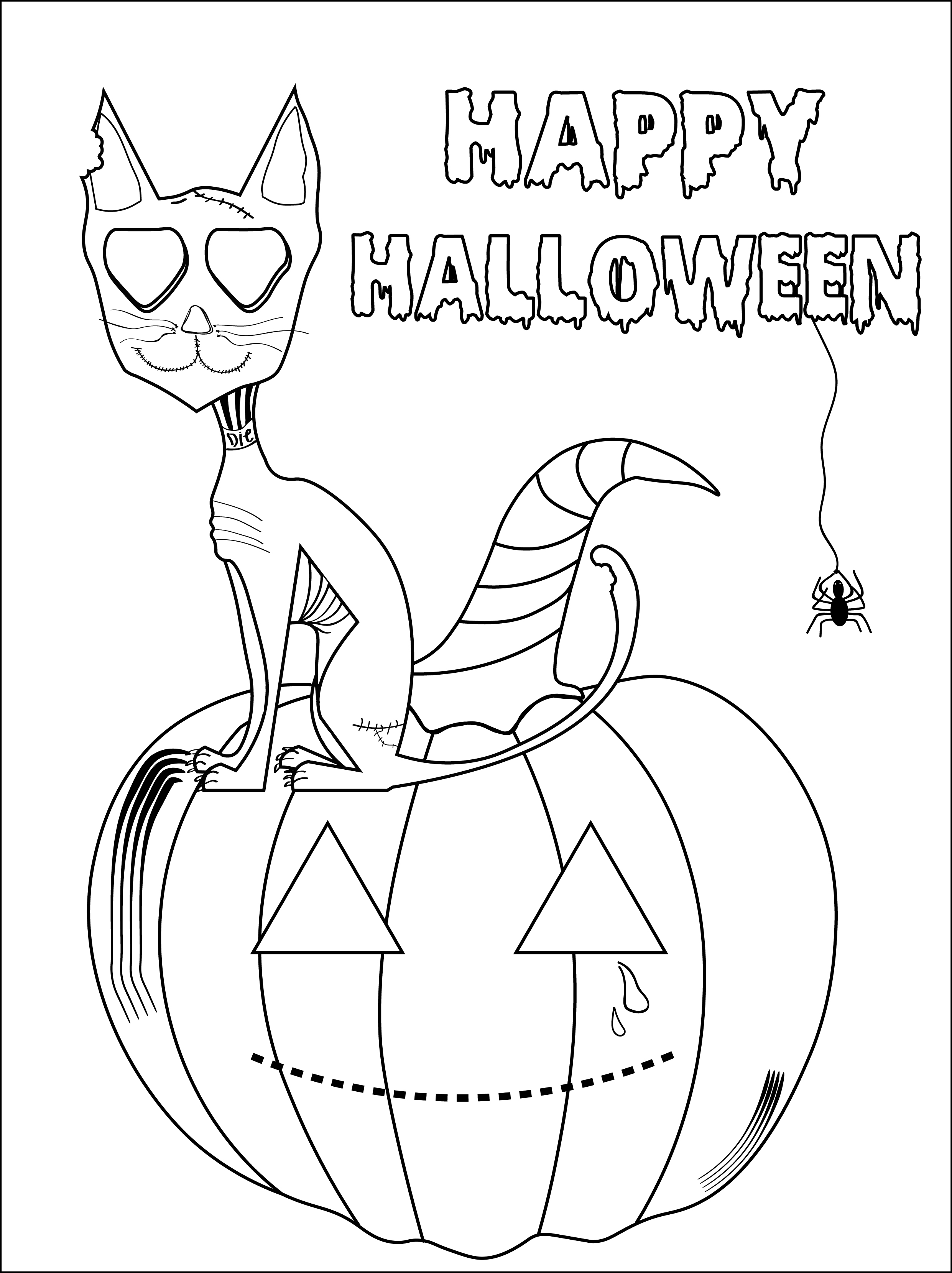 Dibujo para colorear de Halloween gato sobre calabaza, con araña