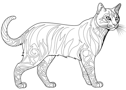 Imagen dibujo silueta realista de un gato para colorear