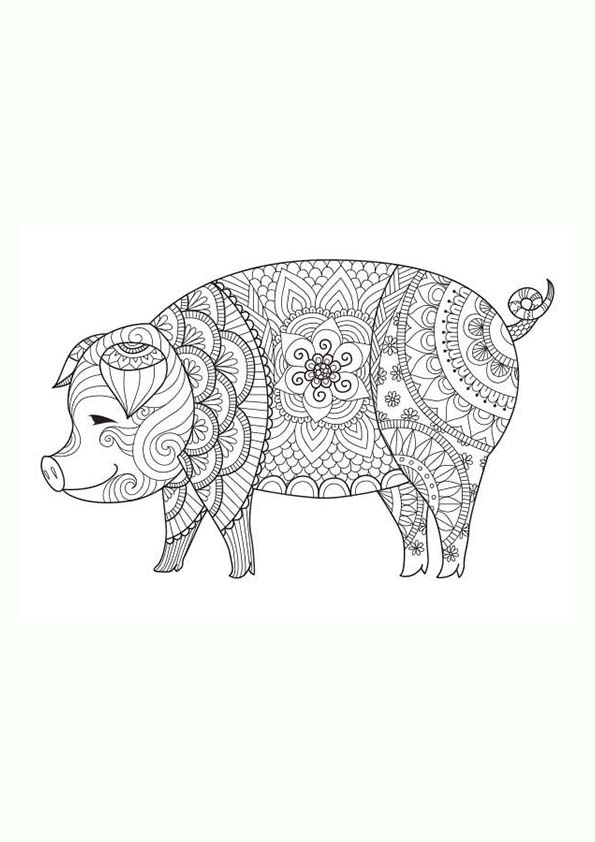 Dibujo para colorear mandala ilustración silueta cerdo