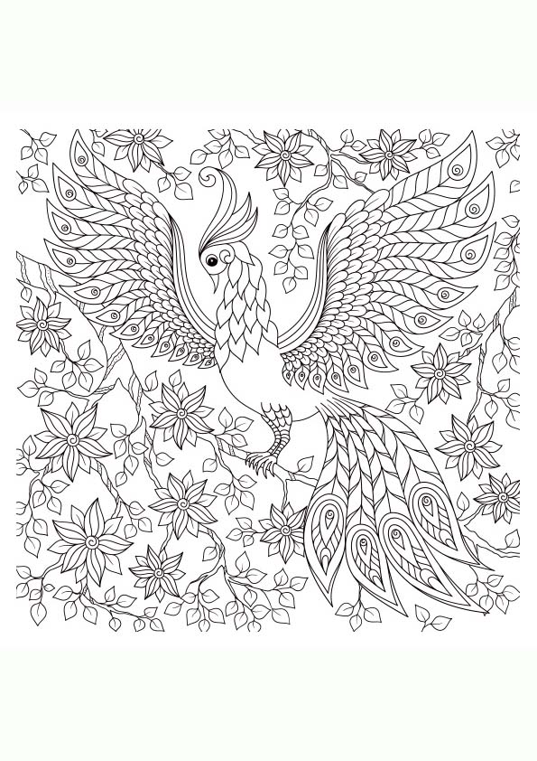 Dibujo para colorear mandala ilustración silueta pavo real