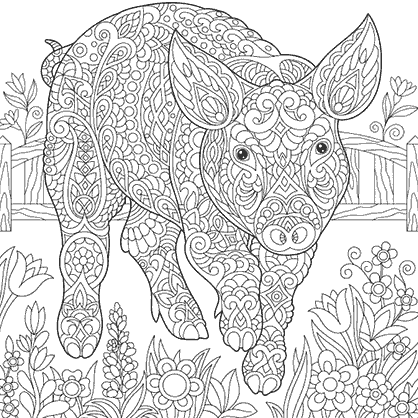 Coloring page of a beautiful mandala of a pig walking happily in a farm with many flowers