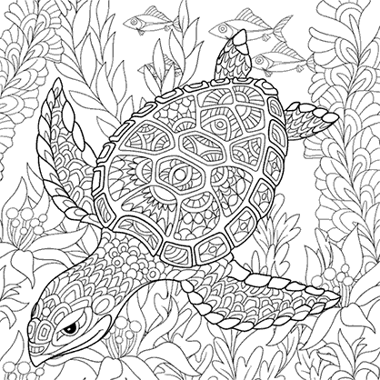 Mandala coloring page of a turtle
